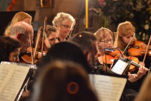 Violins close up_0988 800
